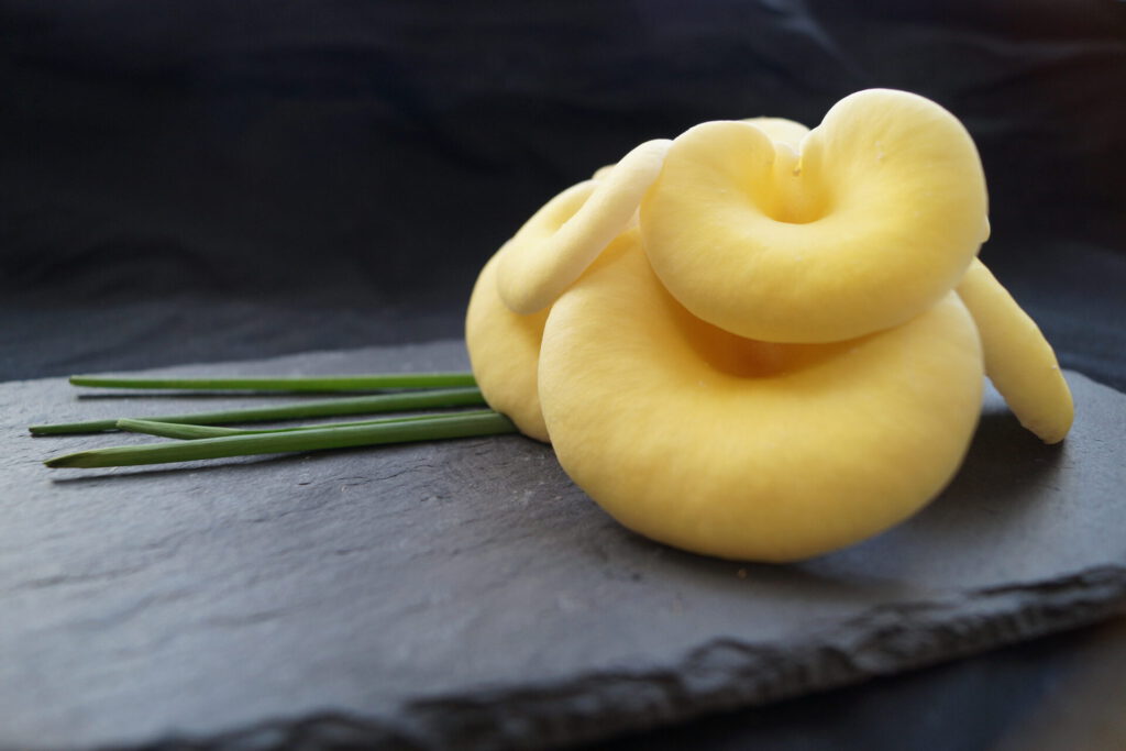 Limonenseitling