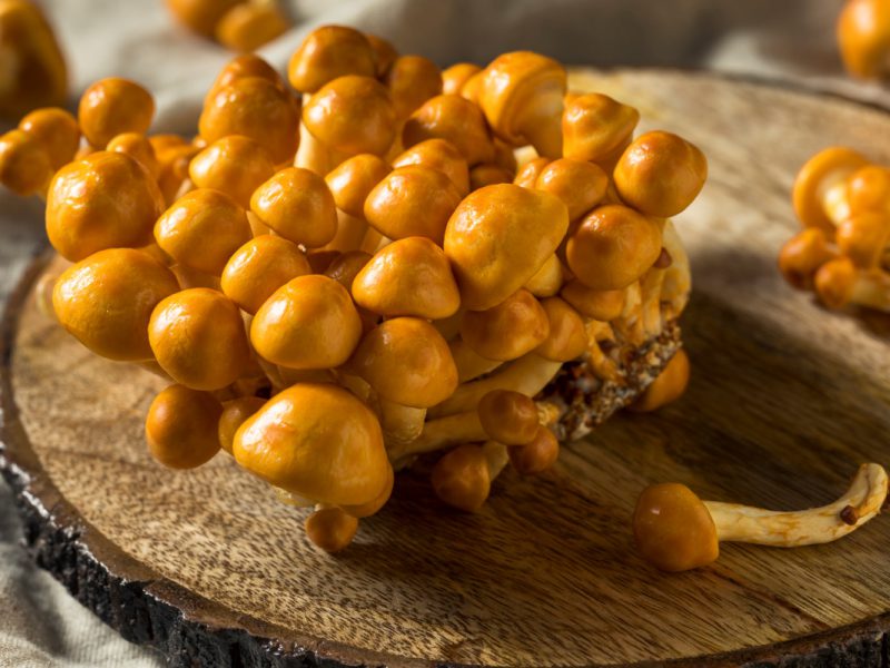 Goldkäppchen